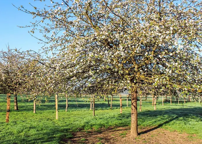 L'etang By Interhome Σπίτι διακοπών Corbon (Calvados)